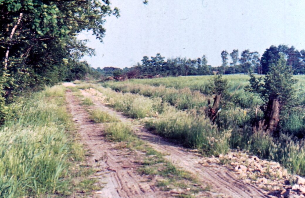 Ausstellung „Wirtschaft und Wege“